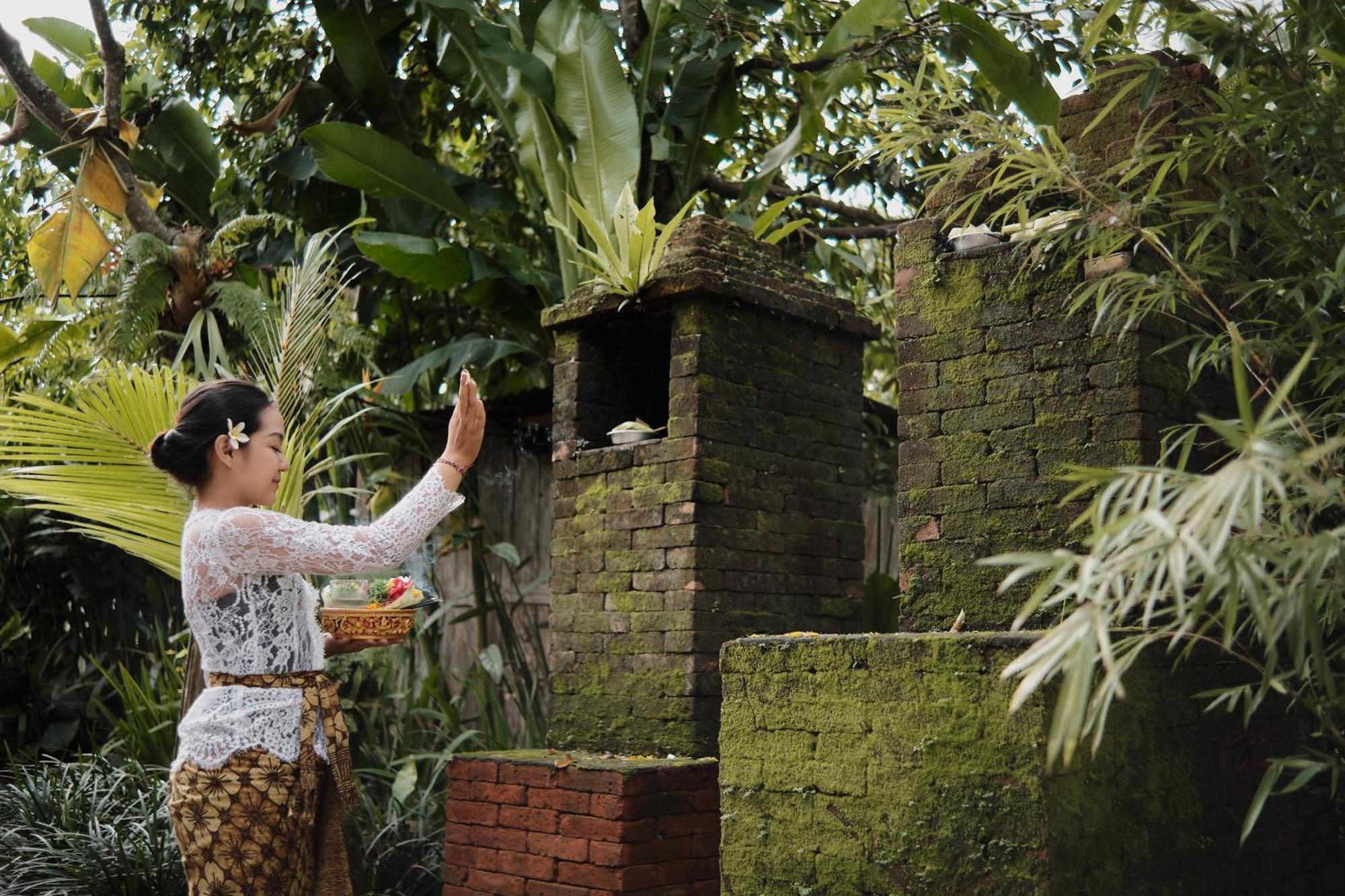 Joglo Organik Guesthouse Ubud Zewnętrze zdjęcie