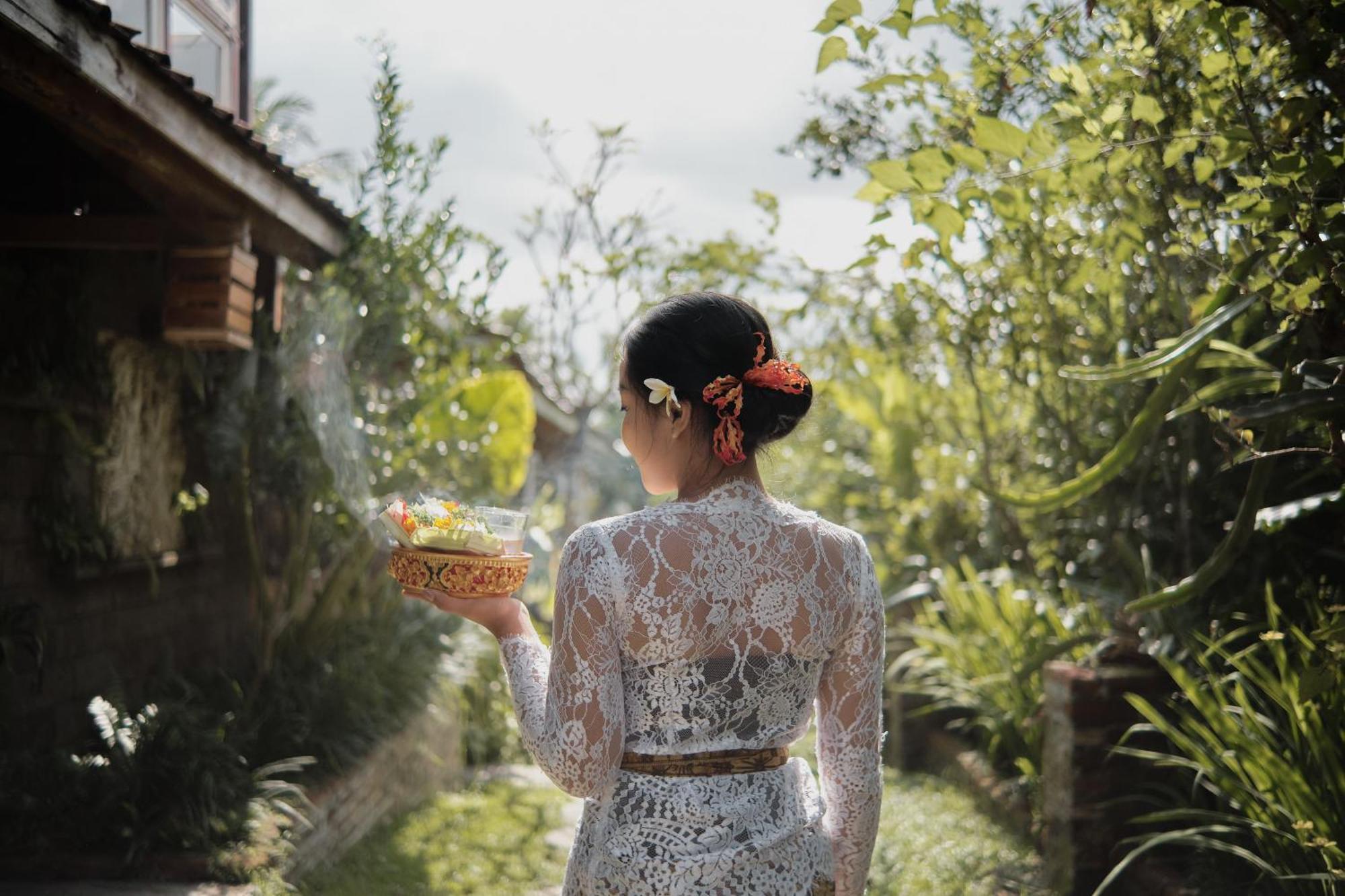 Joglo Organik Guesthouse Ubud Zewnętrze zdjęcie